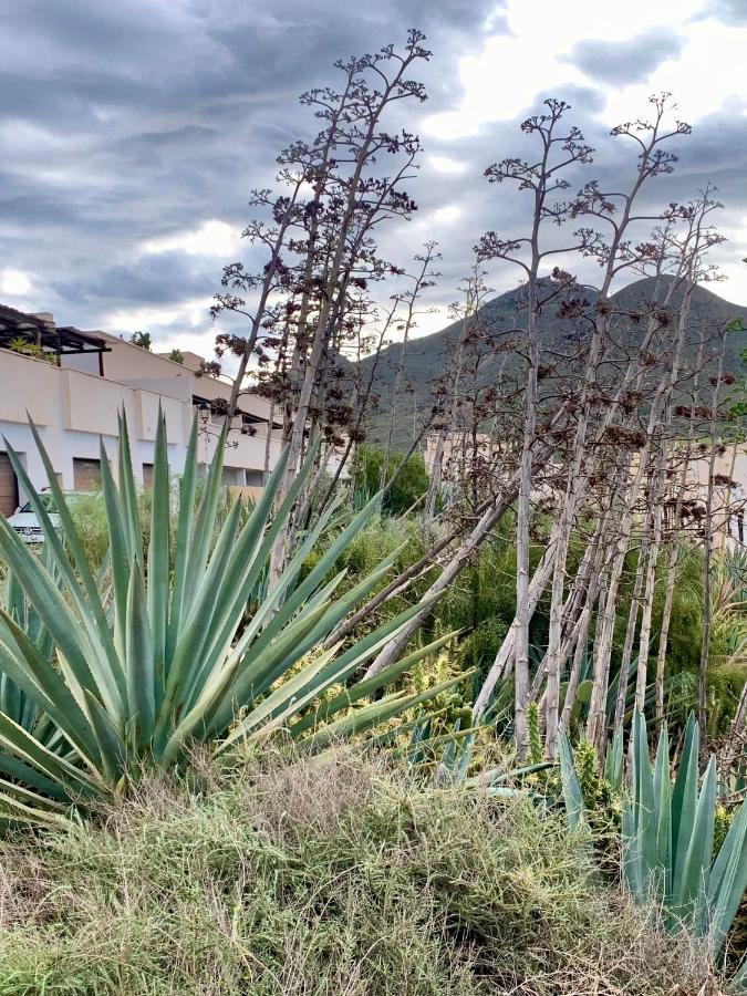 La Pita Del Pozo Appartement El Pozo de los Frailes Buitenkant foto